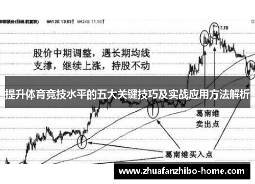 提升体育竞技水平的五大关键技巧及实战应用方法解析